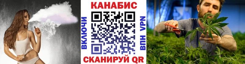 где найти наркотики  Сорочинск  Шишки марихуана сатива 